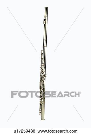 Skill, One Object, Flute, Polished, Music View Large Photo Image Stock Photo - Skill, One Object, Flute, Polished, Music. Fotosearch