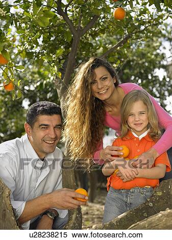 Stock Photography - Portrait of young girl (5-7) and parents with oranges, Alicante, Spain,. Fotosearch
