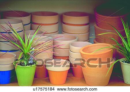 Picture - container, decoration, object, plant, leaf, life. Fotosearch