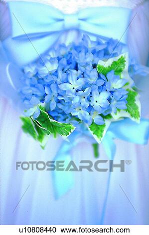 Stock Image - decoration, plant, life, bouquet, purple, object. Fotosearch