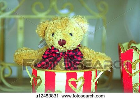 decoration, ribbon, bear, mammal, cute, teddy bear, bow View Large Photo Image Stock Image - decoration, ribbon, bear, mammal, cute, teddy bear, bow. Fotosearch