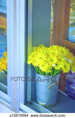 Picture - object, decoration, life, bucket, metal, plant. Fotosearch