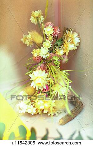 Stock Photography - object, decoration, life, nook, plant, flower. Fotosearch