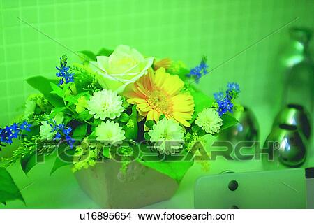 object, decoration, life, plant, flower, flowerpot View Large Photo Image Picture - object, decoration, life, plant, flower, flowerpot. Fotosearch