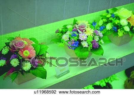 Stock Image - object, decoration, life, plant, flower, flowerpot. Fotosearch