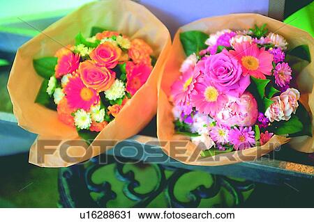 object, decoration, life, plant, flower, leaf View Large Photo Image Stock Image - object, decoration, life, plant, flower, leaf. Fotosearch