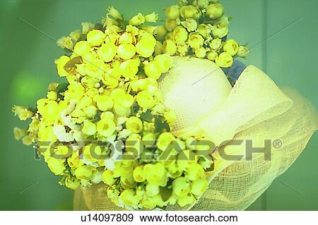 Stock Photo - object, decoration, life, plant, flower, yellow. Fotosearch