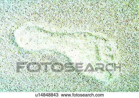 object, sand, decoration, life, footprint View Large Photo Image Stock Image - object, sand, decoration, life, footprint. Fotosearch