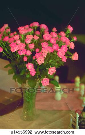 Stock Image - vase, object, flower, rose, plant, leaf, life. Fotosearch