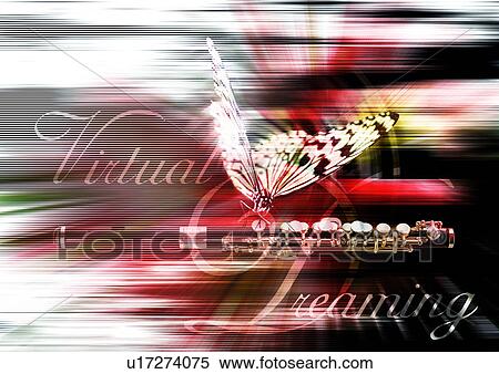 Stock Photography - Close-up of a butterfly superimposed on a striped background. Fotosearch