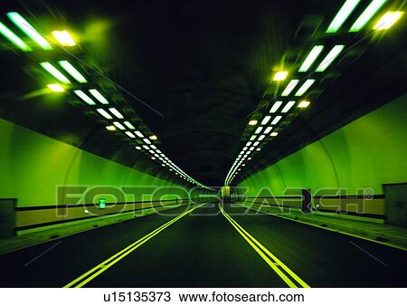 Bright, Ceiling, Empty, Green View Large Photo Image Stock Image - Bright, Ceiling, Empty, Green. Fotosearch