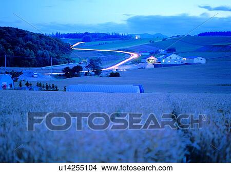 Picture - Building, Day, Dusk, Farmland, Field. Fotosearch