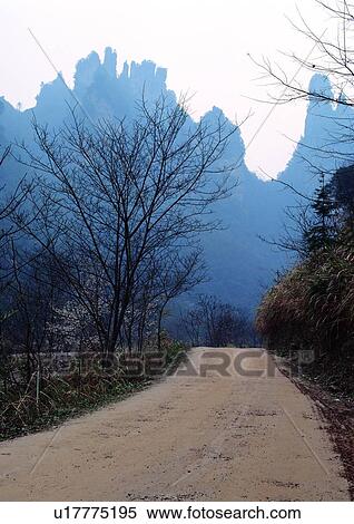 Greenery, Dry, Empty, Rural Scene, Treelined, Rural Road View Large Photo Image Stock Photography - Greenery, Dry, Empty, Rural Scene, Treelined, Rural Road. Fotosearch