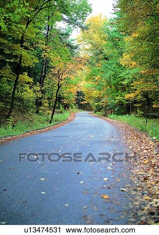 Image Dictionary, Leaf, Road, Path, Tree, Street View Large Photo Image Stock Image - Image Dictionary, Leaf, Road, Path, Tree, Street. Fotosearch