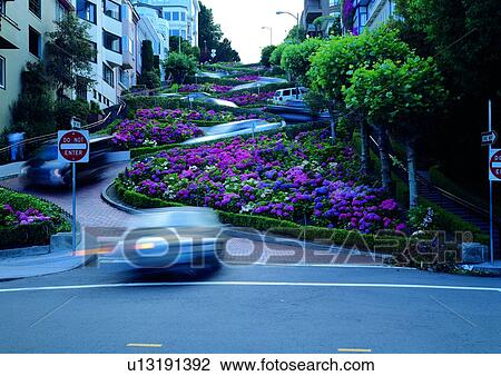 Path, City, Greenery, Outdoor, Roadway, Flower Bed, Car View Large Photo Image Stock Image - Path, City, Greenery, Outdoor, Roadway, Flower Bed, Car. Fotosearch