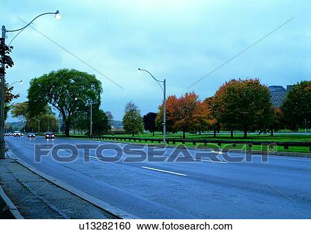 Stock Image - Road, Tree, Lane, Outdoor, Lush Foliage, Cloud. Fotosearch