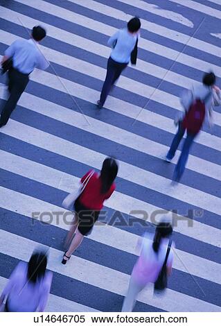 city, pedestrian, people, crossing, transportation, hour View Large Photo Image Stock Photography - city, pedestrian, people, crossing, transportation, hour. Fotosearch