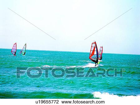 coast, sailboarding, sea, ocean, scenery, sky View Large Photo Image Stock Image - coast, sailboarding, sea, ocean, scenery, sky. Fotosearch