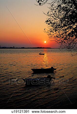 Stock Image - ocean, plant, tree, coast, boat, scenery, sky. Fotosearch