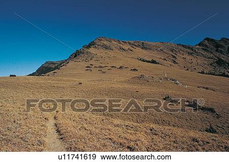 Stock Photo - Beauty In Nature, Nature, Blue, Surface Level, Scenics, Outdoor. Fotosearch