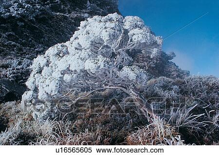 Blue, Clear Sky, Covering, Day View Large Photo Image Stock Photography - Blue, Clear Sky, Covering, Day. Fotosearch