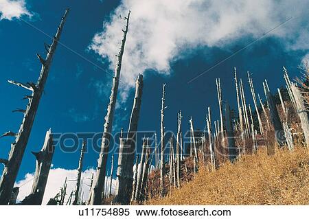 Cloud, Beauty In Nature, Nature, Day, Seasons View Large Photo Image Stock Photography - Cloud, Beauty In Nature, Nature, Day, Seasons. Fotosearch
