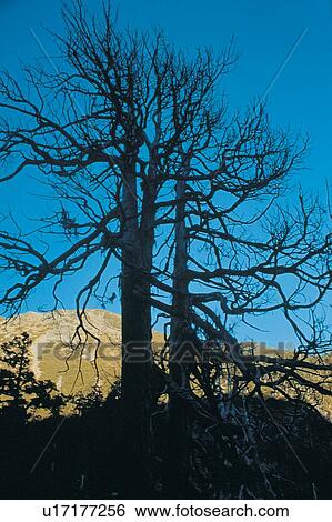Day, Hill, Seasons, Outdoor View Large Photo Image Stock Photograph - Day, Hill, Seasons, Outdoor. Fotosearch
