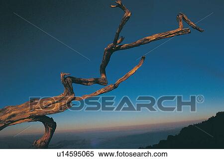 Stock Photography - Landscape, Blue, Day, Nature, Scenics, Seasons, Non-Urban Scene. Fotosearch