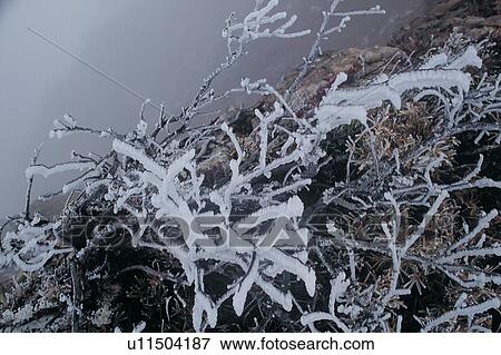 Stock Photo - Landscape, White, Outdoor, Covering, Snow, Tranquil Scene. Fotosearch