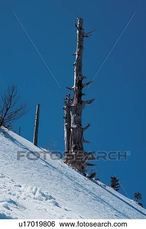 Stock Photograph - Outdoor, Day, Scenics, Clear Sky, Beauty In Nature. Fotosearch