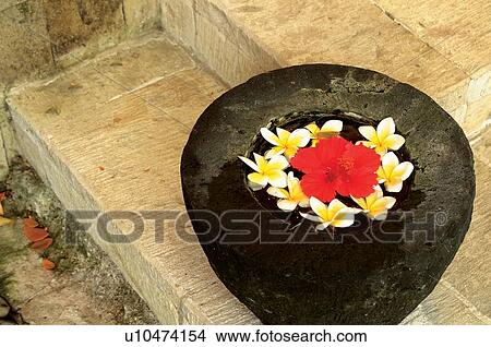 Picture - Beauty Treatment, Container, Day, Floating On Water, Flower. Fotosearch
