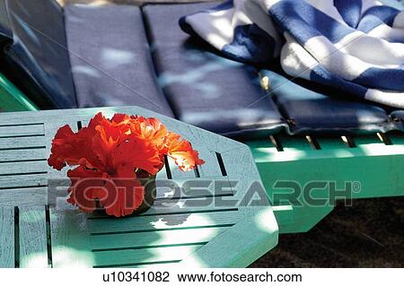 Stock Image - Day, Flower, Flower Pot, Footstool, Green. Fotosearch