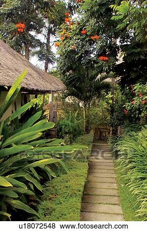 Stock Photo - Day, Flower, Green, Hut, Leaf. Fotosearch
