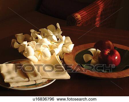 Flower, Luxury, White, Zen-Like View Large Photo Image Stock Photograph - Flower, Luxury, White, Zen-Like. Fotosearch