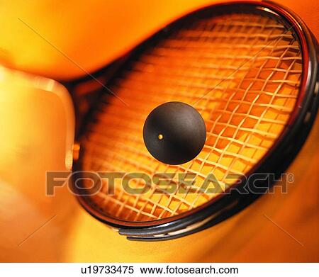 squash racket, close up, squash ball, sporting good View Large Photo Image Stock Photography - squash racket, close up, squash ball, sporting good. Fotosearch