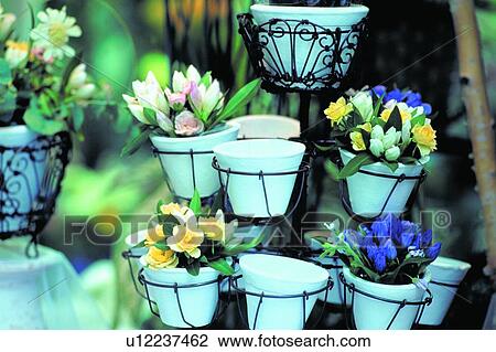 flowerpot, scenery, flower, plant, foreign, potting View Large Photo Image Stock Image - flowerpot, scenery, flower, plant, foreign, potting. Fotosearch