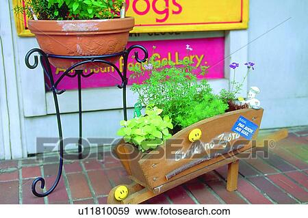 Stock Photo - foreign, plant, scenery, potting, leaf, flowerpot, stand. Fotosearch