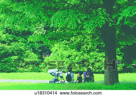 grass, picnic, shadow, plant, stroller, baby carriage View Large Photo Image Picture - grass, picnic, shadow, plant, stroller, baby carriage. Fotosearch