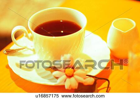 plant, scenery, foreign, tableware, spoon, coffee View Large Photo Image Stock Photography - plant, scenery, foreign, tableware, spoon, coffee. Fotosearch