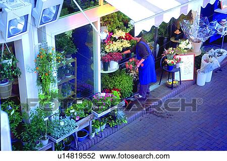 Stock Image - scenery, foreign, florist's, storekeeper, canopy, plant. Fotosearch
