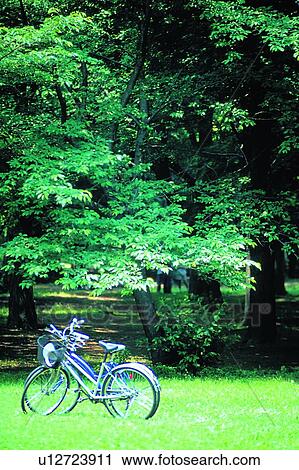 scenery, foreign, park, grass, plant, tree View Large Photo Image Stock Image - scenery, foreign, park, grass, plant, tree. Fotosearch