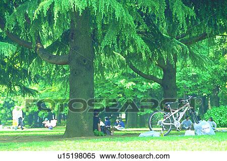 Stock Photography - scenery, foreign, park, people, tree, plant. Fotosearch