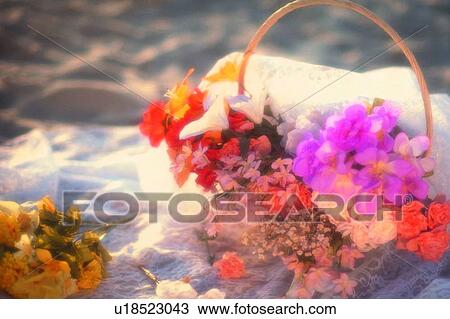Stock Image - scenery, foreign, plant, flower, basket, bouquet. Fotosearch