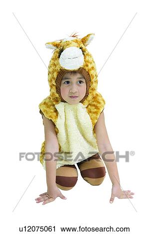 Costume, Kneeling, Camel View Large Photo Image Stock Image - Costume, Kneeling, Camel. Fotosearch