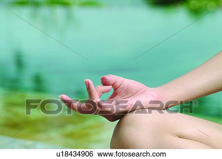 Beauty, Close-Up, Eastern, Asian, Day View Large Photo Image Stock Photograph - Beauty, Close-Up, Eastern, Asian, Day. Fotosearch