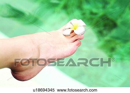 Stock Photography - Beauty, Close-Up, Eastern, Asian, Day. Fotosearch