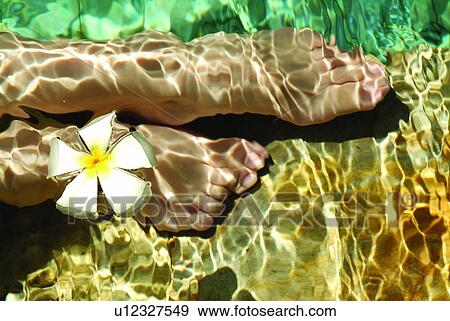 Close-Up, Refreshment, Swimming Pool, Beauty, Barefoot, Human Foot, The Human Body View Large Photo Image Stock Photo - Close-Up, Refreshment, Swimming Pool, Beauty, Barefoot, Human Foot, The Human Body. Fotosearch