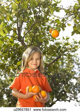Portrait of young girl (5-7) holding oranges in front of tree, Alicante, Spain, View Large Photo Image Stock Image - Portrait of young girl (5-7) holding oranges in front of tree, Alicante, Spain,. Fotosearch