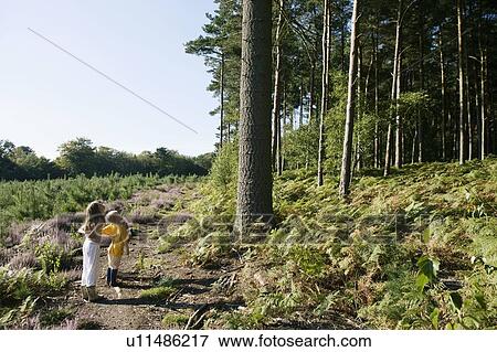 Stock Photo - Young boy and young girl by a forest looking up.. Fotosearch