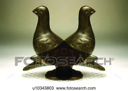 Stock Image - Bird, Colored Background, Close-Up, Brass, Avian. Fotosearch
